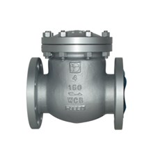 Cast Steel Swing Check Valve Flanged RF ANSI Class # 600
