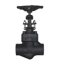 Forged Steel Globe Valve ANSI Class # 800