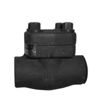 Forged Steel Piston Check Valve ANSI Class # 800