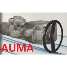 Electric Actuator AUMA