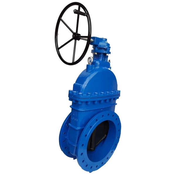 Flat Body Ductile Iron Gate Valve with Reducing Gear (PN 16)