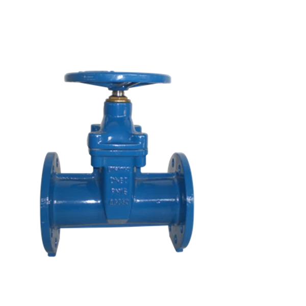 Soft Seated Gate Valve In Ductile Iron Oval Body PN 10 and 16