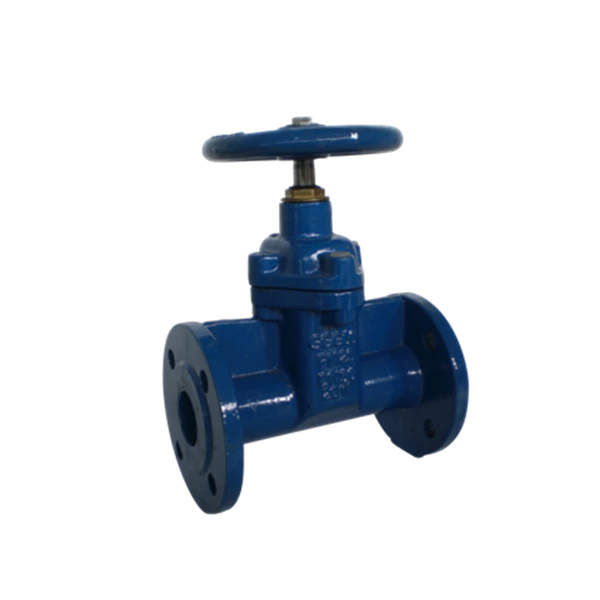 Gate Valve Soft Seated in Ductile Iron Oval Body Flanged PN 25