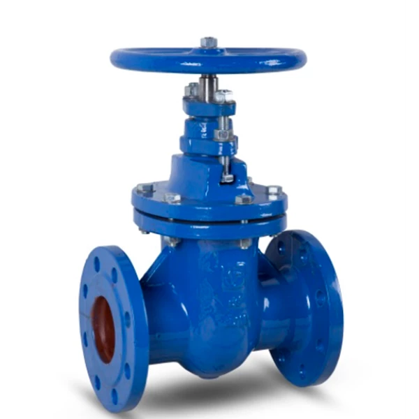 Metal Seated Oval Body Gate Valve in Cast Iron Inside Screw (PN 10 & 16)