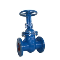 Metal Seated Oval Body Gate Valve in Cast Iron Outside Screw and Yoke (PN 10 & 16)
