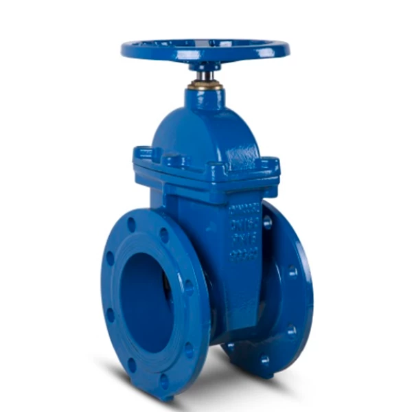Soft Seated Gate Valve in Ductile Iron (PN 10 & 16)