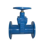Soft Seated Gate Valve in Ductile Iron - Oval Body (PN 10 & 16) 1