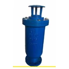 Air Release Valve for Sewage PN 16 1