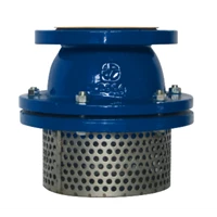 Basket Strainers Without Valve (Flanged PN 10)